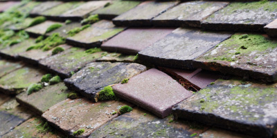 Llanfairynghornwy roof repair costs